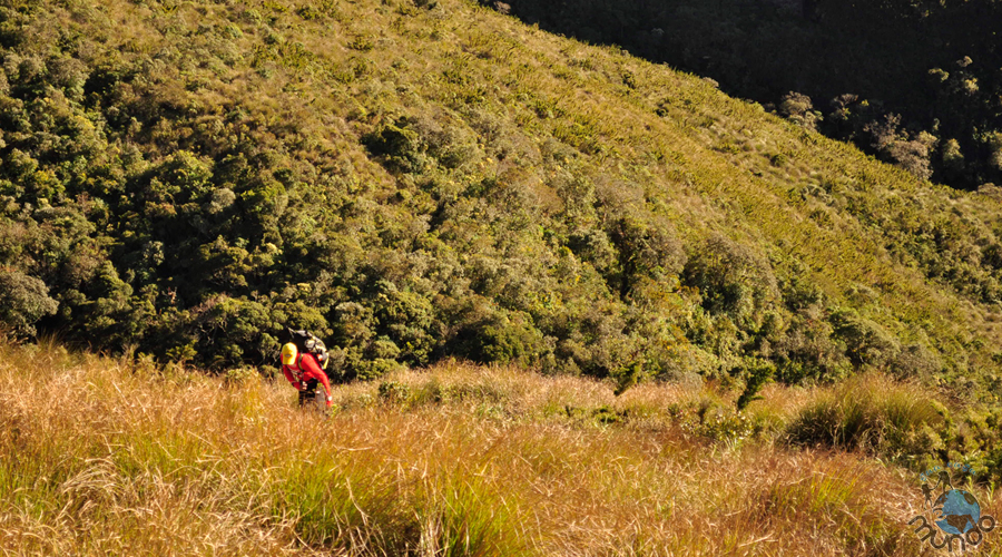 trail running training