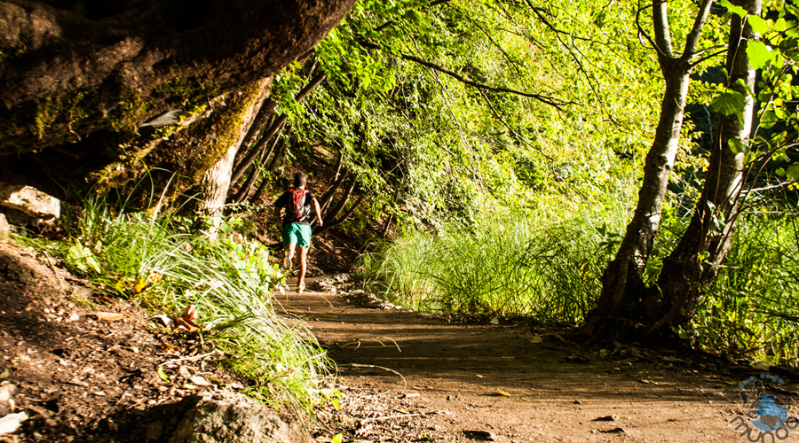 trail running training