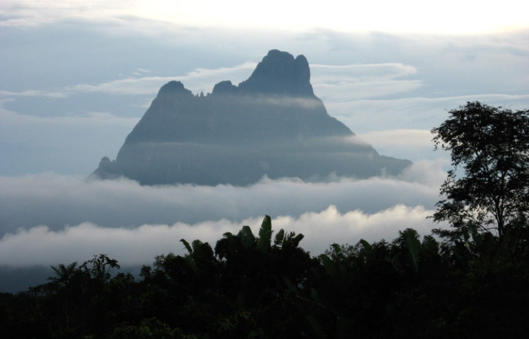 pico da neblina